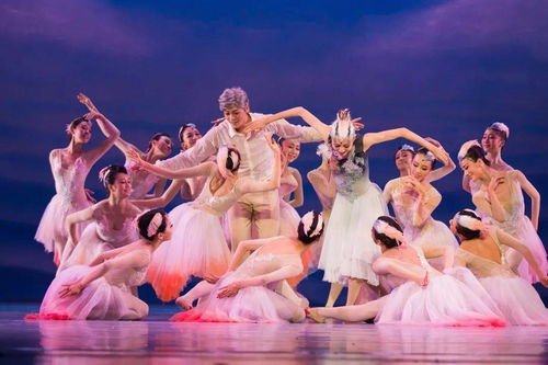 大年初一重磅開票 | 舞劇《朱鹮》杭州站唯美鉅獻(xiàn)，一場(chǎng)東方美學(xué)的詩(shī)意巡禮